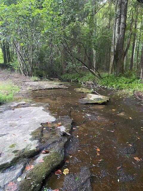 Land in Winder 4