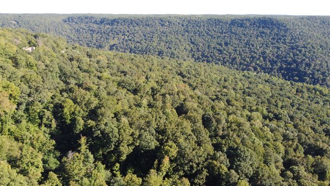 0 Myers Point Rd, Home with 0 bedrooms, 0 bathrooms and null parking in Sewanee TN | Image 5