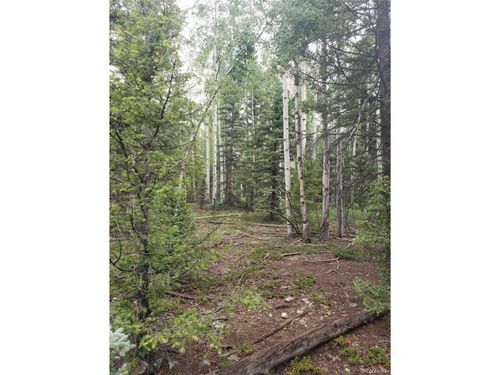 4 8th St, Jasper, CO, 81132 | Card Image