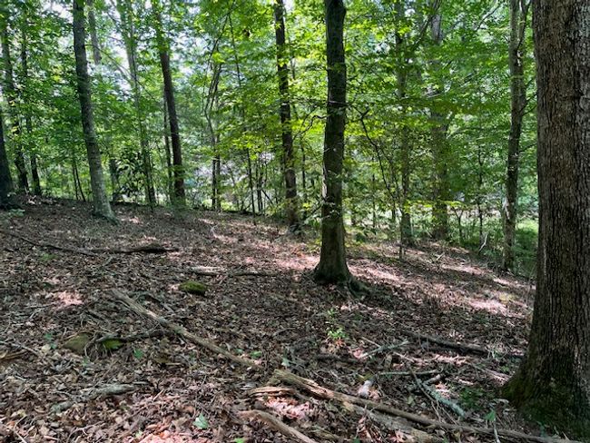 57 Fox Run Rd, Home with 0 bedrooms, 0 bathrooms and null parking in Walhalla SC | Image 4