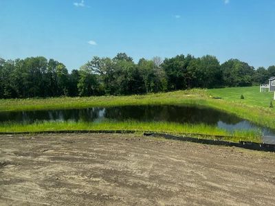 Beautiful Pond and Wetland views | Image 2