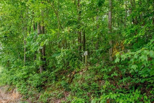 4521 Huffine Rd, Loudon, TN, 37774 | Card Image
