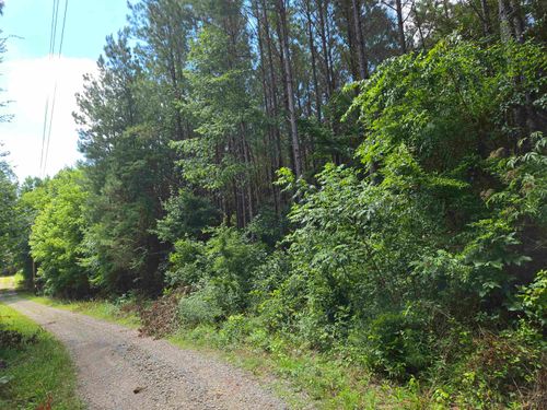 0 County Road 532, Hanceville, AL, 35077 | Card Image