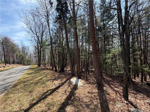 Lot 105 Greenstreet Dr, Traphill, NC, 28685-8921 | Card Image