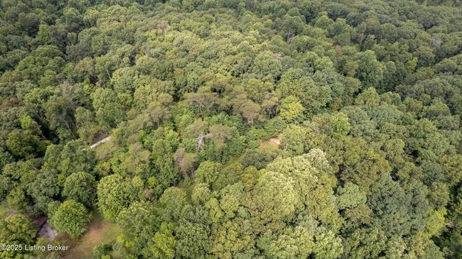 7 Vanmeter Cemetery Rd, Home with 0 bedrooms, 0 bathrooms and null parking in Bee Spring KY | Image 16