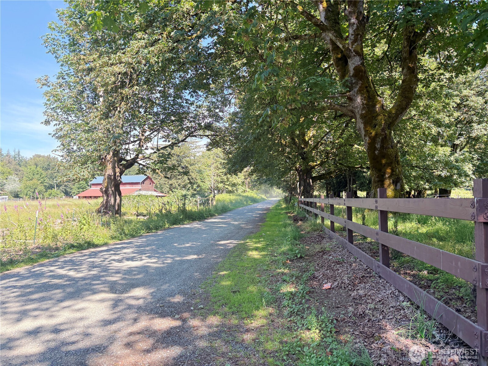 Residential in Ravensdale 5