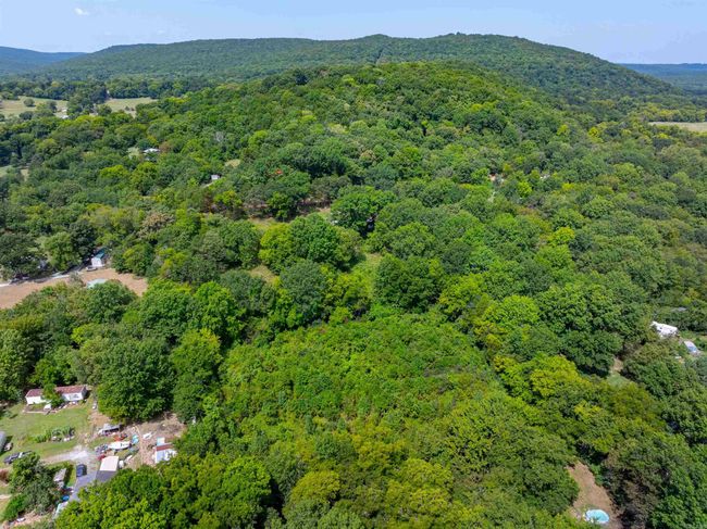 64 Lock 2 Rd, House other with 2 bedrooms, 1 bathrooms and null parking in Locust Grove AR | Image 11