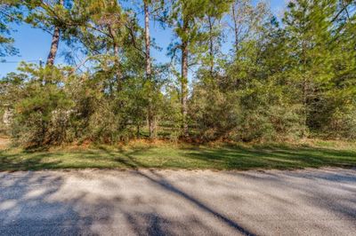 Lot 392 County Road 6494, Home with 0 bedrooms, 0 bathrooms and null parking in Dayton TX | Image 2