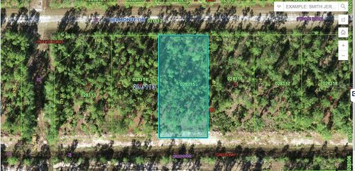 819 Belmonte Drive, INDIAN LAKE ESTATES, FL, 33855 | Card Image