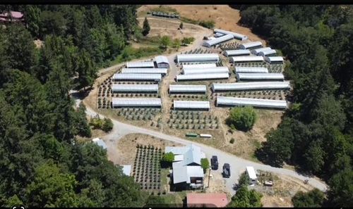 35082 Alderpoint Rd, Blocksburg, CA, 95514-9200 | Card Image