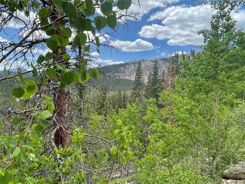 847 Mineral Park Rd, ALMA, CO, 80420 | Card Image