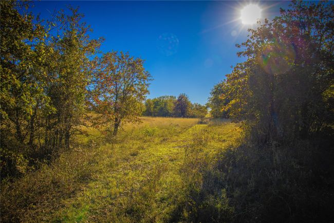 Tract 4 Lazy E Rd, Home with 0 bedrooms, 0 bathrooms and null parking in Saint Jo TX | Image 8