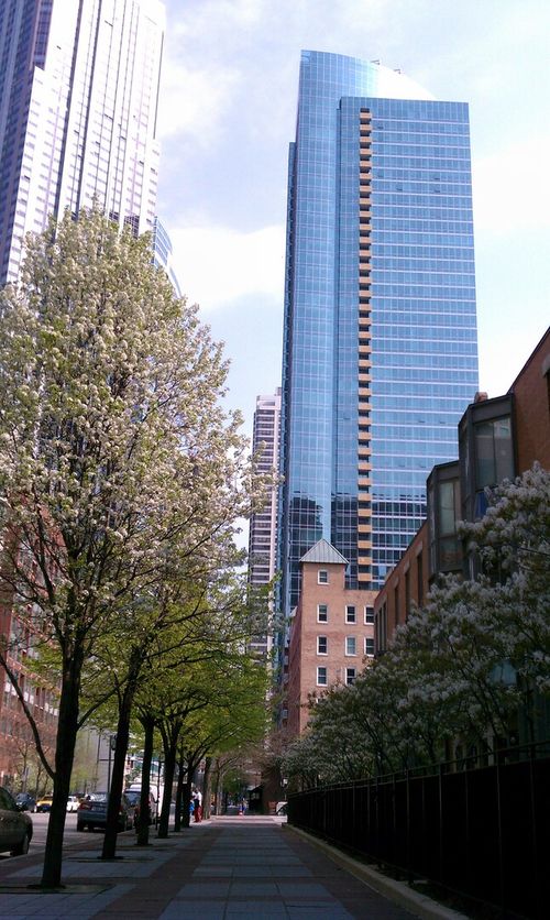 906-505 N Mcclurg Ct, Chicago, IL, 60611-5376 | Card Image