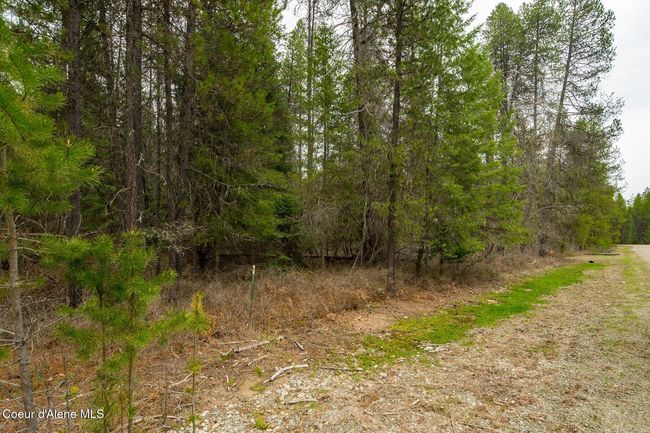 1813 Joyner Dr E, Home with 0 bedrooms, 0 bathrooms and null parking in Cusick WA | Image 49
