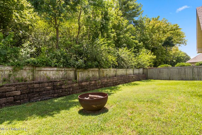 111 Meadow Pointe Cove-24 | Image 25