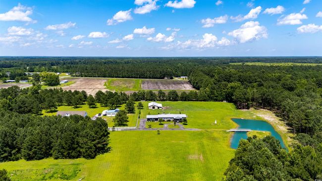 Aerial view of a forest and a nearby body of water | Image 4