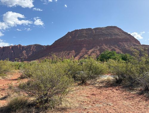 469 N Bur Sage Trail, Ivins, UT, 84738 | Card Image