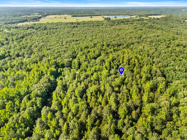 256 Rambo Loop, Home with 0 bedrooms, 0 bathrooms and null parking in Searcy AR | Image 8