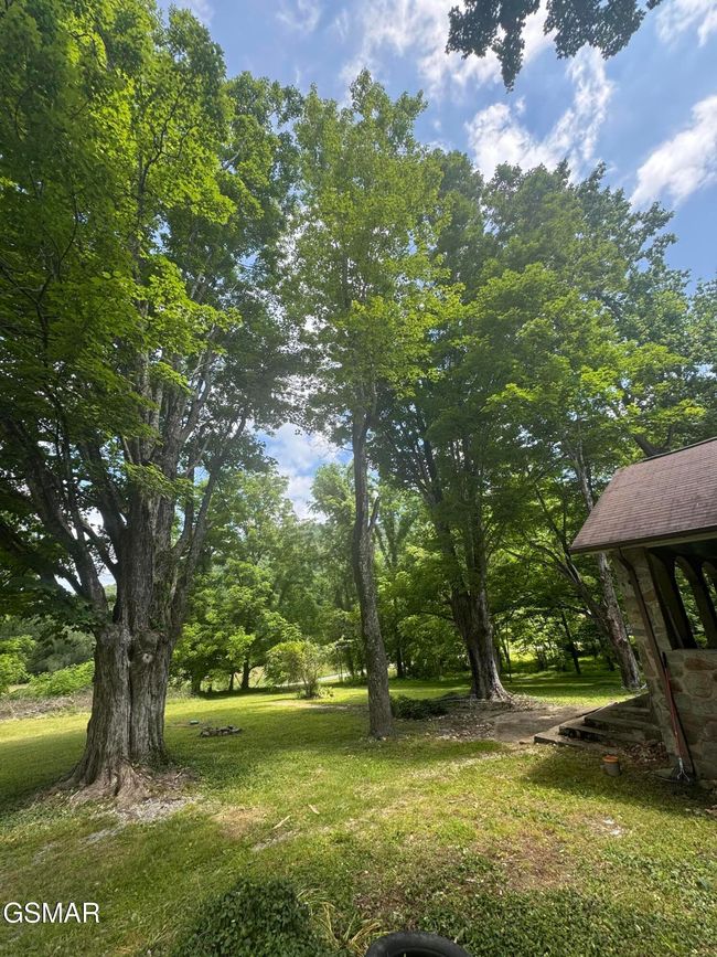 3528 Sugar Camp Cir, House other with 3 bedrooms, 1 bathrooms and null parking in Sevierville TN | Image 20