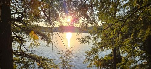 Lot 4 Bartsch Rd, Presque Isle, WI, 54557 | Card Image