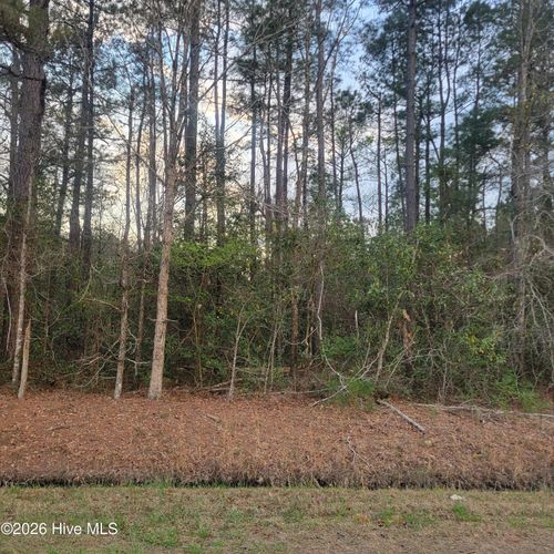Tract 8 Fennell Town Rd, Rocky Point, NC, 28457 | Card Image