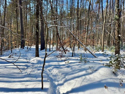 lot-b-TBD Swans Falls Road, Fryeburg, ME, 04037 | Card Image