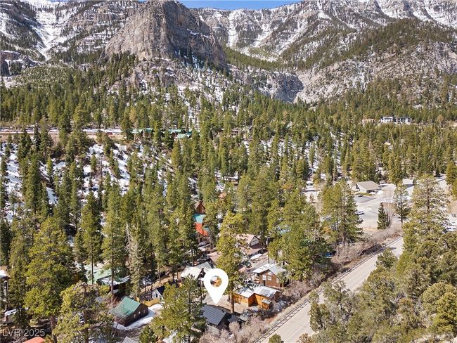 4578 Yellow Pine Ave, House other with 1 bedrooms, 1 bathrooms and null parking in Mount Charleston NV | Image 49