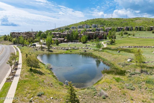 Pond | Image 41