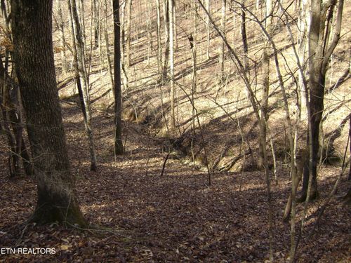 0 Torbett Rd, Spring City, TN, 37381 | Card Image