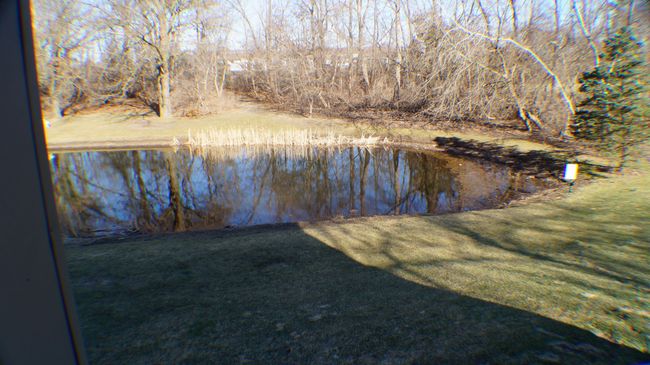 Pond from door wall | Image 44