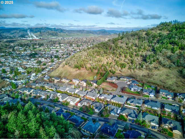 459 Oak Valley Loop, House other with 4 bedrooms, 4 bathrooms and 3 parking in Winchester OR | Image 46