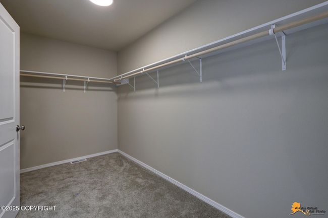 AVDP18 | Image 18