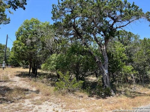 619 Cactus Flower, Canyon Lake, TX, 78133 | Card Image