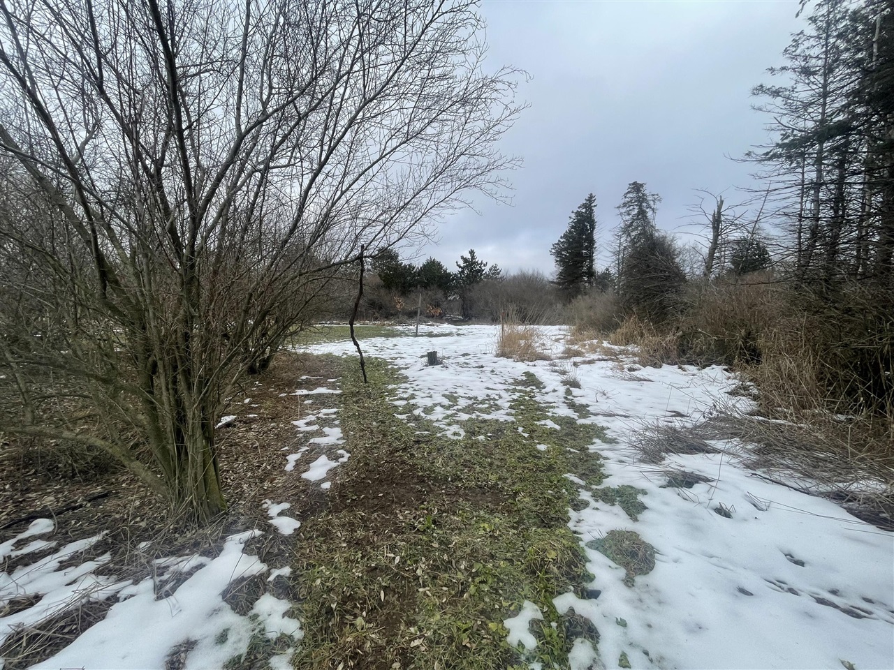 Townline Rd, Free Soil, MI 49411