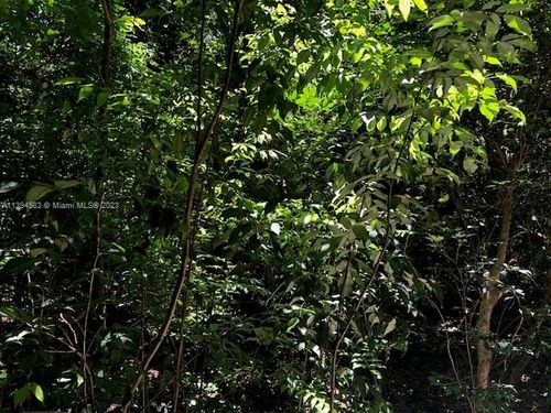 419 Se 9th St, Hallandale Beach, FL, 33009-7114 | Card Image