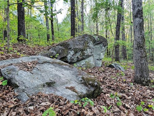 0 Hamilton Sq, Hamilton, GA, 31811-6090 | Card Image