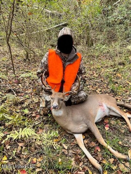 3032 Osyka Progress Rd, Osyka, MS, 39657 | Card Image