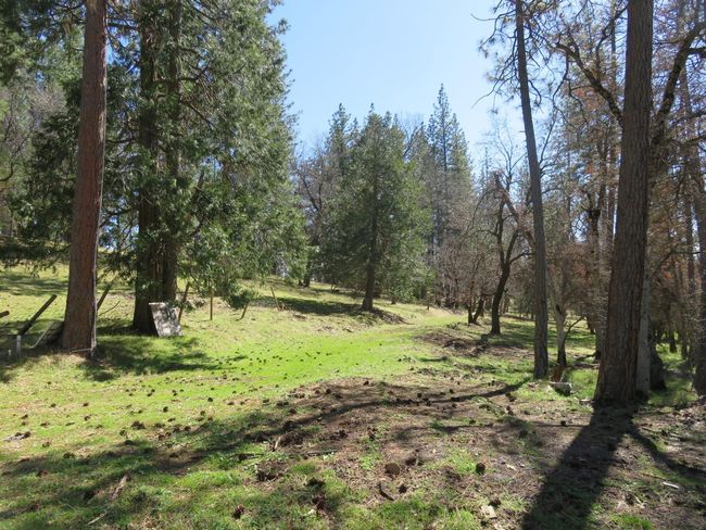 4196 Bald Mountain Rd, Home with 0 bedrooms, 0 bathrooms and null parking in West Point CA | Image 32