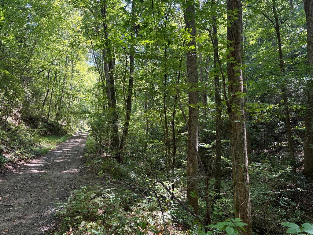 Land in Andrews 4
