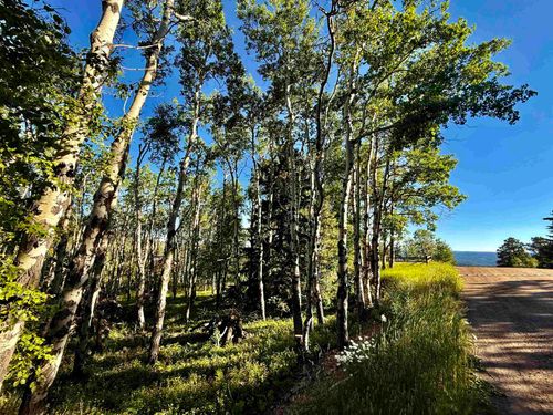 Lot 2 BLK1 TR C Last Chance Trail, Lead, SD, 57754 | Card Image