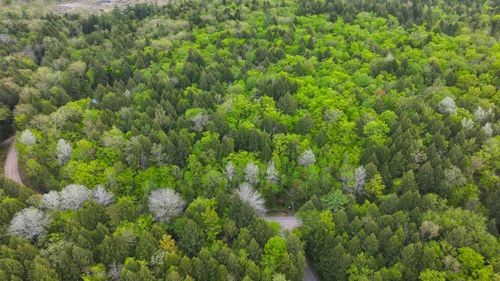MU42 L50 Timber Bay Shores Road, Lovell, ME, 04051 | Card Image
