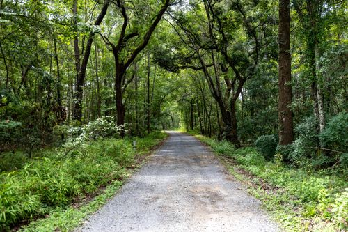 lot-14-00 Corbetts Aly, Johns Island, SC, 29455 | Card Image