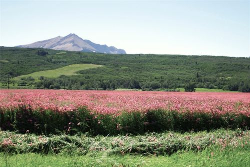 1 Boulder Dr, Babb, MT, 59411-5003 | Card Image