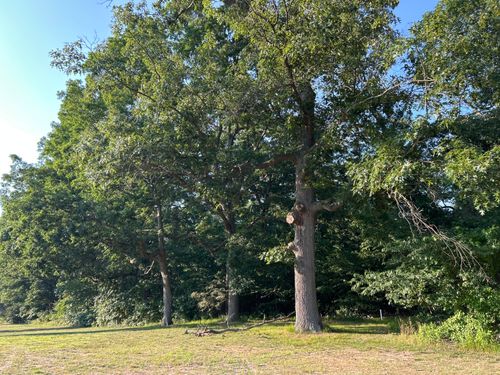 3 Lilac Lane, Grand Beach, MI, 49117 | Card Image