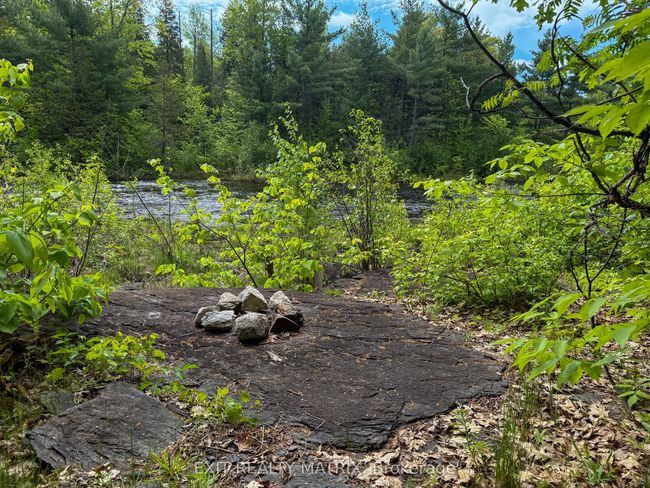 12654 Lanark Rd, Home with 0 bedrooms, 0 bathrooms and null parking in Calabogie ON | Image 12