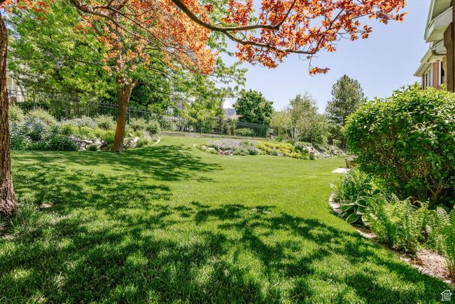 View of green lawn | Image 99
