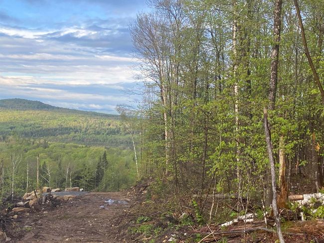 1180 Abbott Hill Rd, Home with 0 bedrooms, 0 bathrooms and null parking in West Burke VT | Image 33