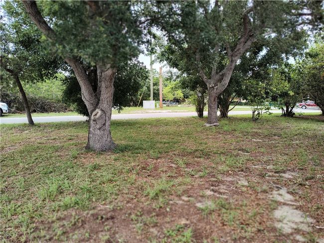 Front Yard | Image 12