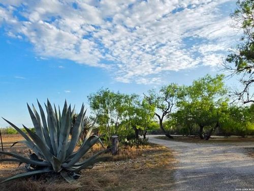 4029 County Road 117, Floresville, TX, 78114-6022 | Card Image
