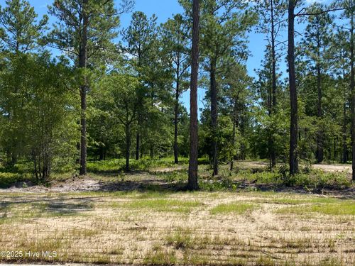 8-8742 Compass Pointe West Wynd Ne, Leland, NC, 28451-3116 | Card Image